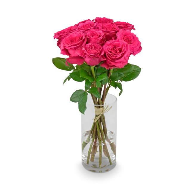 Bouquet of pink roses